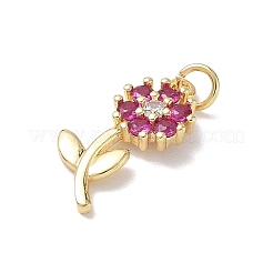 Brass Micro Pave Cubic Zirconia Pendants&nbsp;KK-L268-029G-02