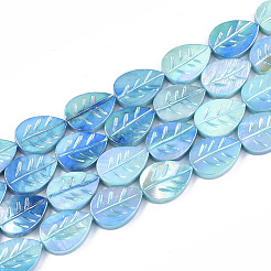 Freshwater Shell Beads Strands&nbsp;X-SHEL-S274-61C