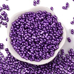 Baking Paint Glass Seed Beads&nbsp;SEED-L011-12A-04