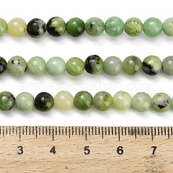 Natural Serpentine Beads Strands&nbsp;G-Z110-C04-6mm