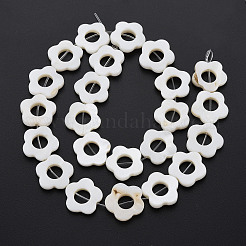 Freshwater Shell Beads Frames Strands&nbsp;LS-SHEL-T009-14A