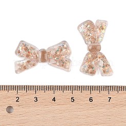 Cute Transparent Resin Decoden Cabochons&nbsp;RESI-S03-01E