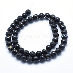 Sea Shell and Synthetic Turquoise Assembled Beads Strands&nbsp;G-G758-10-8mm