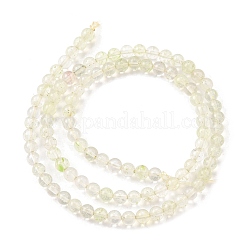 Watermelon Stone Glass Beads Strands&nbsp;G-L621-B04-4mm