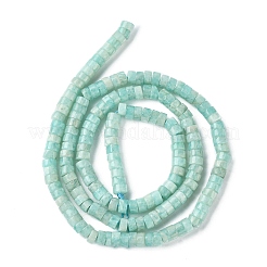 Natural Amazonite Beads Strands&nbsp;G-F748-L01