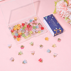 72Pcs 9 Colors Acrylic Pendants&nbsp;OACR-SC0002-38B