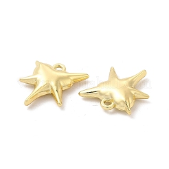 Alloy Pendants&nbsp;PALLOY-E024-25LG