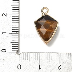 Natural Tiger Eye Pendants&nbsp;G-K422-01G-08