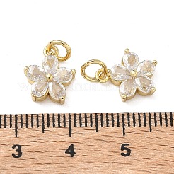 Brass Micro Pave Clear Cubic Zirconia Charms&nbsp;X-KK-F930-02G
