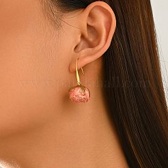 Brass Resin Dangle Earrings for Women&nbsp;NB9245-2