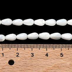 Natural White Shell Beads Strands&nbsp;SH-CBAF49A-03