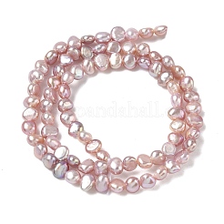 Natural Cultured Freshwater Pearl Beads Strands&nbsp;PEAR-C004-19B-02