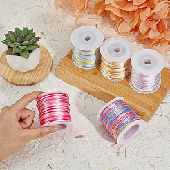 5 Rolls 5 Colors Segment Dyed Nylon Rattail Satin Cords&nbsp;NWIR-FH0001-04B