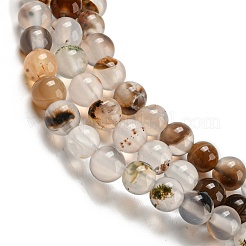 Natural Dendritic Agate Beads Strands&nbsp;G-A232-A01-01