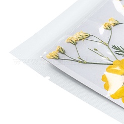 Pressed Dried Flowers&nbsp;DIY-F076-01B