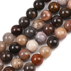 Natural Petrified Wood Round Bead Strands&nbsp;G-F266-08-6mm