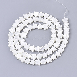 Natural Trochid Shell/Trochus Shell Bead Strands&nbsp;X-SSHEL-N034-68A