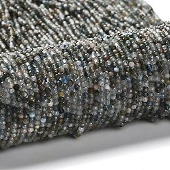 Natural Apatite Beads Strands&nbsp;G-RM2025-A23-2mm