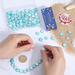 4 Strands Freshwater Shell Beads Strands&nbsp;SHEL-SC0001-48