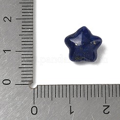 Natural Lapis Lazuli Beads&nbsp;G-T149-01F