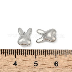 304 Stainless Steel Charms&nbsp;STAS-E500-06P