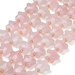 Natural Rose Quartz Beads Strands&nbsp;G-L657-A06-01