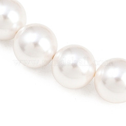 Shell Pearl Bead Strands&nbsp;BSHE-H001-06