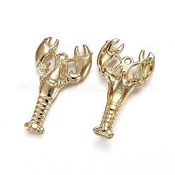 Tibetan Style Alloy Pendants&nbsp;TIBEP-A040-020G-NR