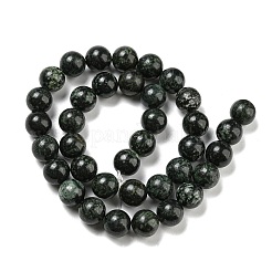 Natural Serpentine Beads Strands&nbsp;G-P504-10mm-01