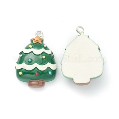 Resin Pendants&nbsp;RESI-O010-15