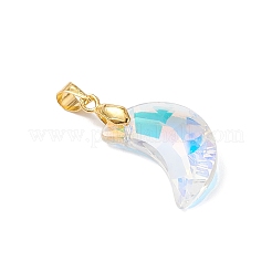 AB Color Plated Glass Pendants&nbsp;PALLOY-JF04595-01