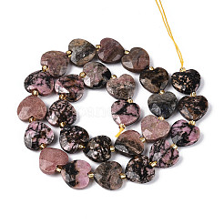 Natural Rhodonite Beads Strands&nbsp;G-P592-B12-01