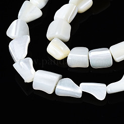 Natural Trochid Shell/Trochus Shell Beads Strands&nbsp;SSHEL-S266-006