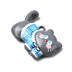 Baking Paint Zinc Alloy Pendants&nbsp;FIND-I070-01B