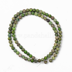 Natural American Turquoise Beads Strands&nbsp;G-S369-001A-A06