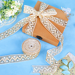Sparkle Polyester Embroidery Ribbon&nbsp;OCOR-WH0070-76B