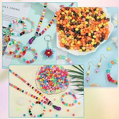 1400Pcs 5 Styles Transparent Plastic Braided Hair & Acrylic Beads Findings Kits&nbsp;DIY-SZ0010-47