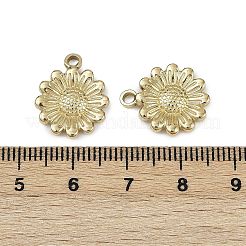 304 Stainless Steel Pendants&nbsp;STAS-D363-06G
