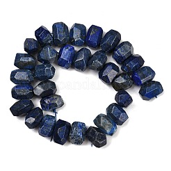 Natural Lapis Lazuli Beads Strands&nbsp;G-F796-D03-01