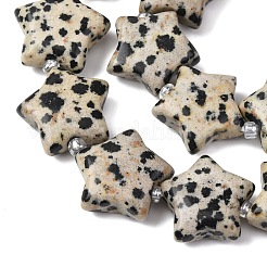 Natural Dalmatian Jasper Beads Strands&nbsp;G-K359-E12