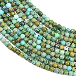 Natural HuBei Turquoise Beads Strands&nbsp;G-D100-A01-3mm