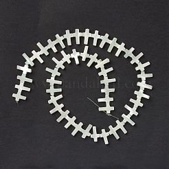 Natural Trochid Shell/Trochus Shell Beads Strands&nbsp;SSHEL-K027-03
