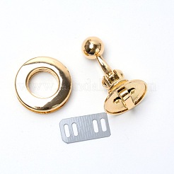 Alloy Clasp Lock&nbsp;PALLOY-WH0084-03G