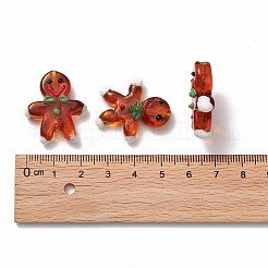 Handmade Lampwork Beads Strands&nbsp;LAMP-N021-025