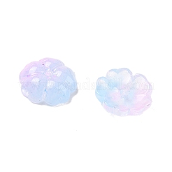 Gradient Color Transparent Glass Bead Cap&nbsp;GLAA-H025-03B