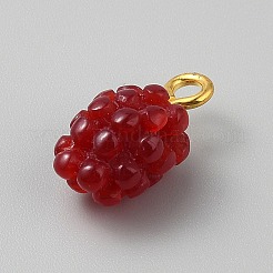 Resin Pendants&nbsp;RESI-WH0034-52D