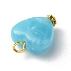 Acrylic Pendants&nbsp;PALLOY-JF00832