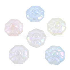 Rainbow Iridescent Plating Acrylic Beads&nbsp;OACR-N010-071