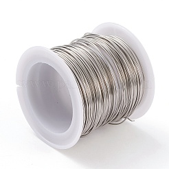 Non-Tarnish 316 Surgical Stainless Steel Wire&nbsp;TWIR-L004-01B-P