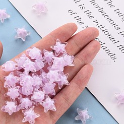 Transparent Acrylic Beads&nbsp;TACR-S152-11A-09